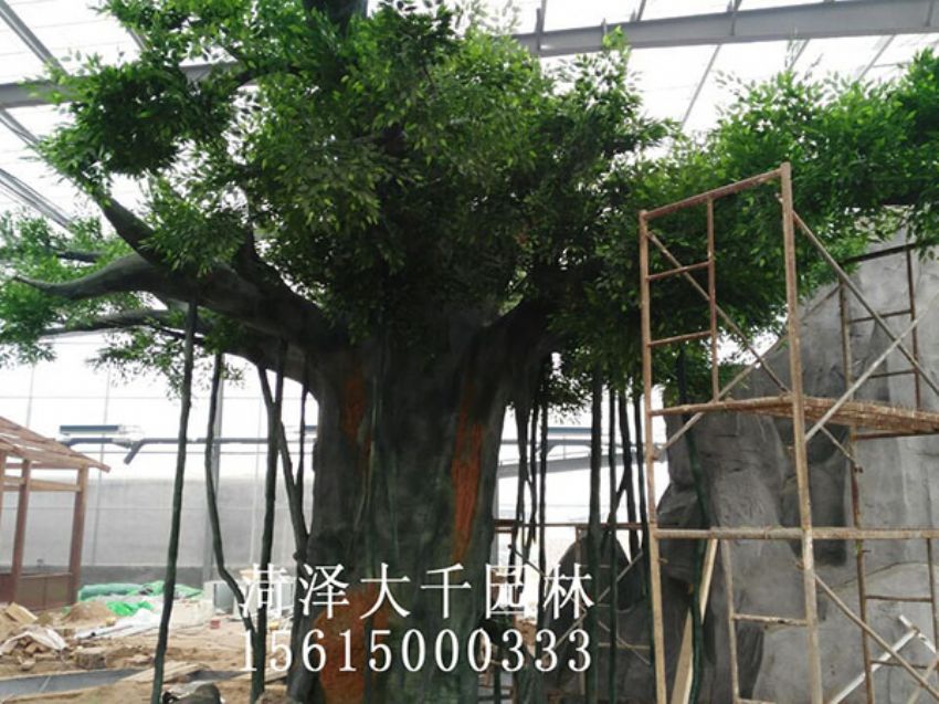 點(diǎn)擊查看詳細(xì)信息<br>標(biāo)題：假樹 閱讀次數(shù)：1437