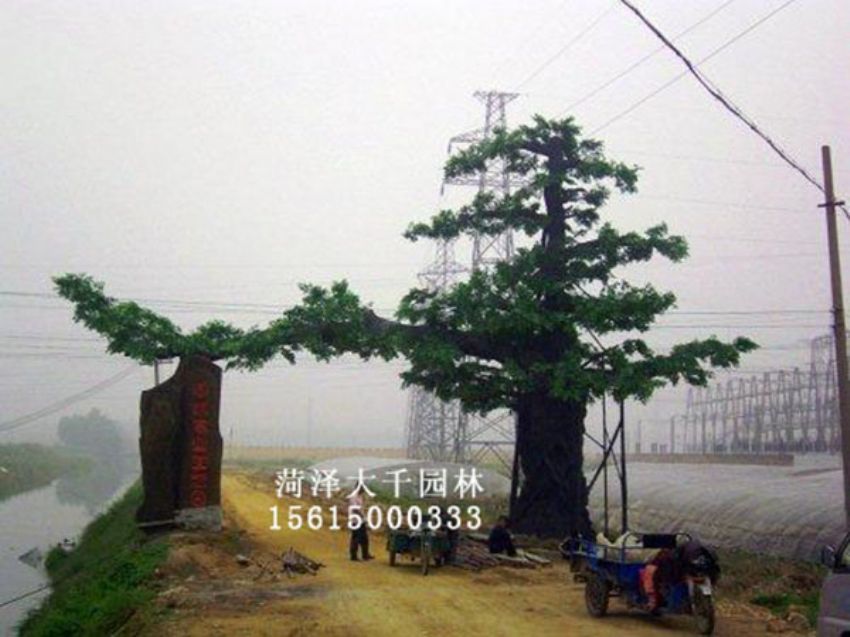 點(diǎn)擊查看詳細(xì)信息<br>標(biāo)題：假樹 閱讀次數(shù)：1350