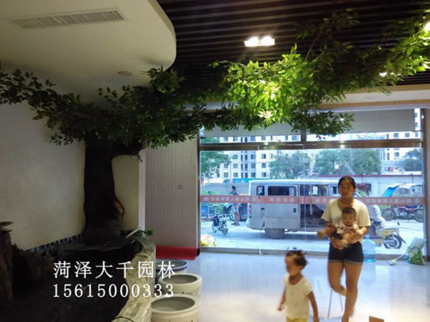 點(diǎn)擊查看詳細(xì)信息<br>標(biāo)題：假樹 閱讀次數(shù)：1395