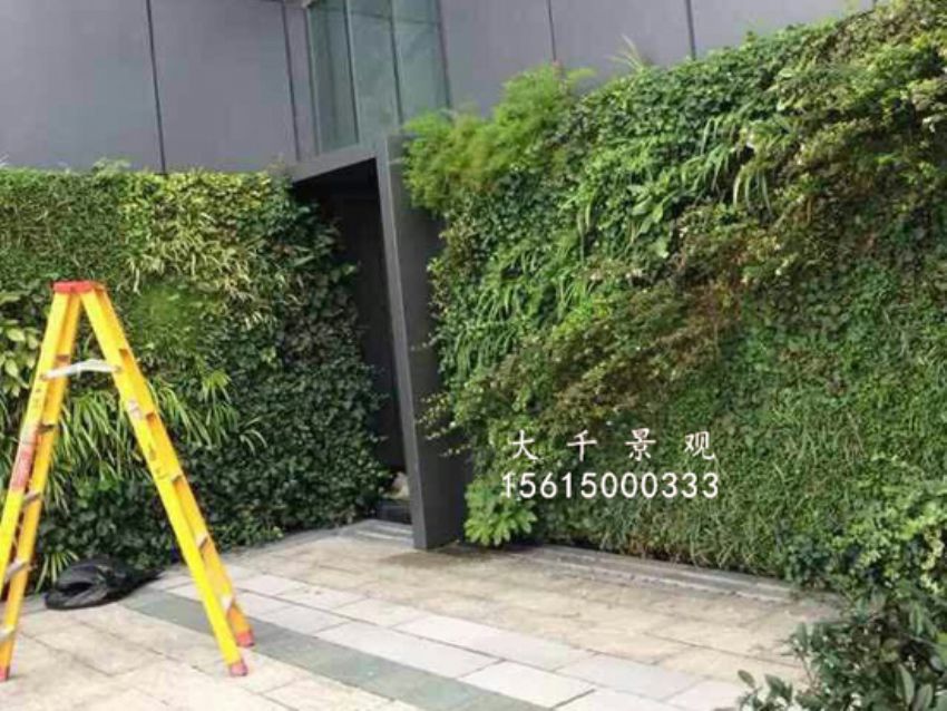 點擊查看詳細信息<br>標題：綠植墻 閱讀次數(shù)：1529