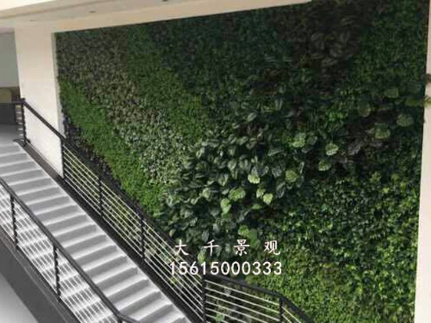 點擊查看詳細信息<br>標題：綠植墻 閱讀次數(shù)：1681