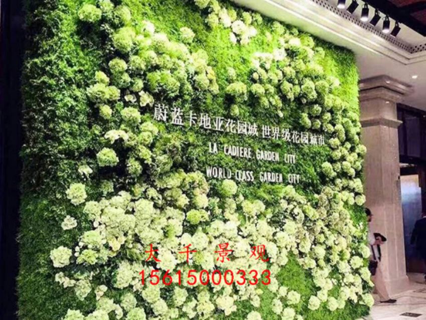 點(diǎn)擊查看詳細(xì)信息<br>標(biāo)題：綠植墻 閱讀次數(shù)：2057